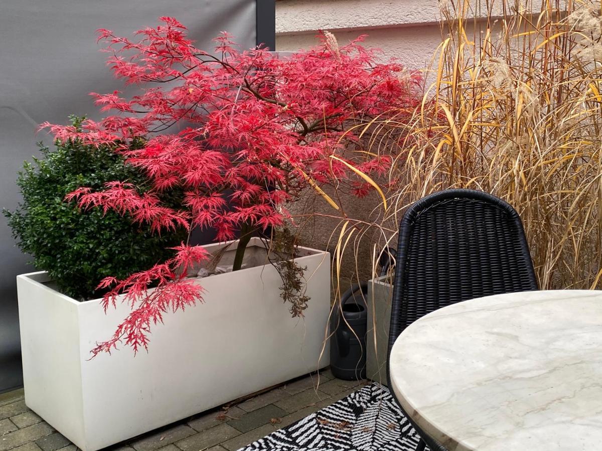 Como Design-Apartment Close To Isar River Area - Centrally Located Monachium Zewnętrze zdjęcie